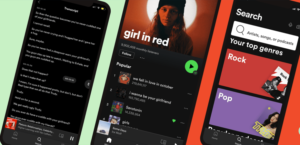 spotify acessibilidade