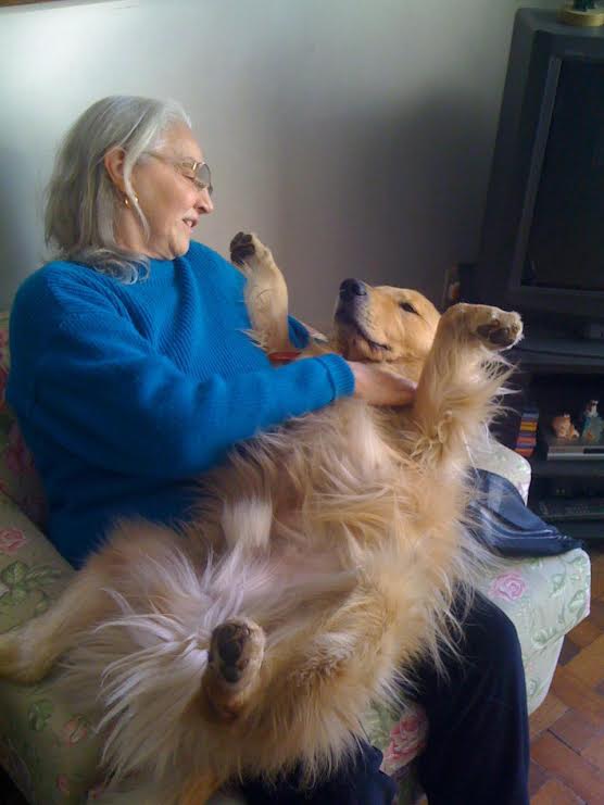Dog Sohum atuou como pet terapeuta por 8 anos