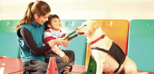 Terapia Assistida por Animais