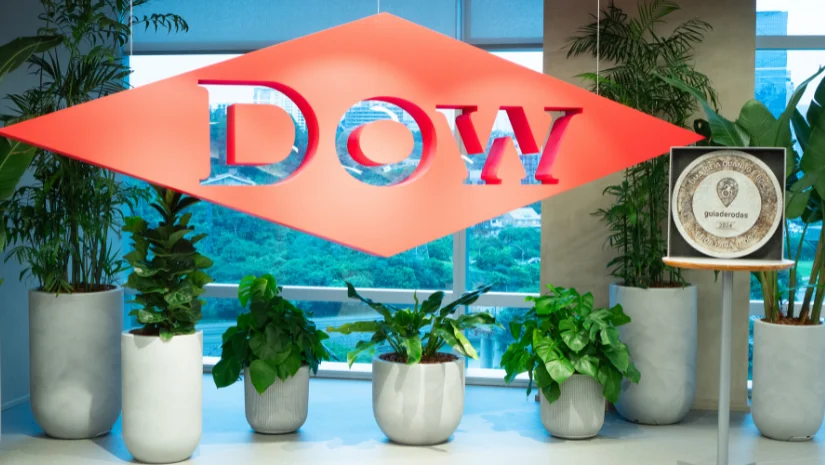 dow brasil certificação